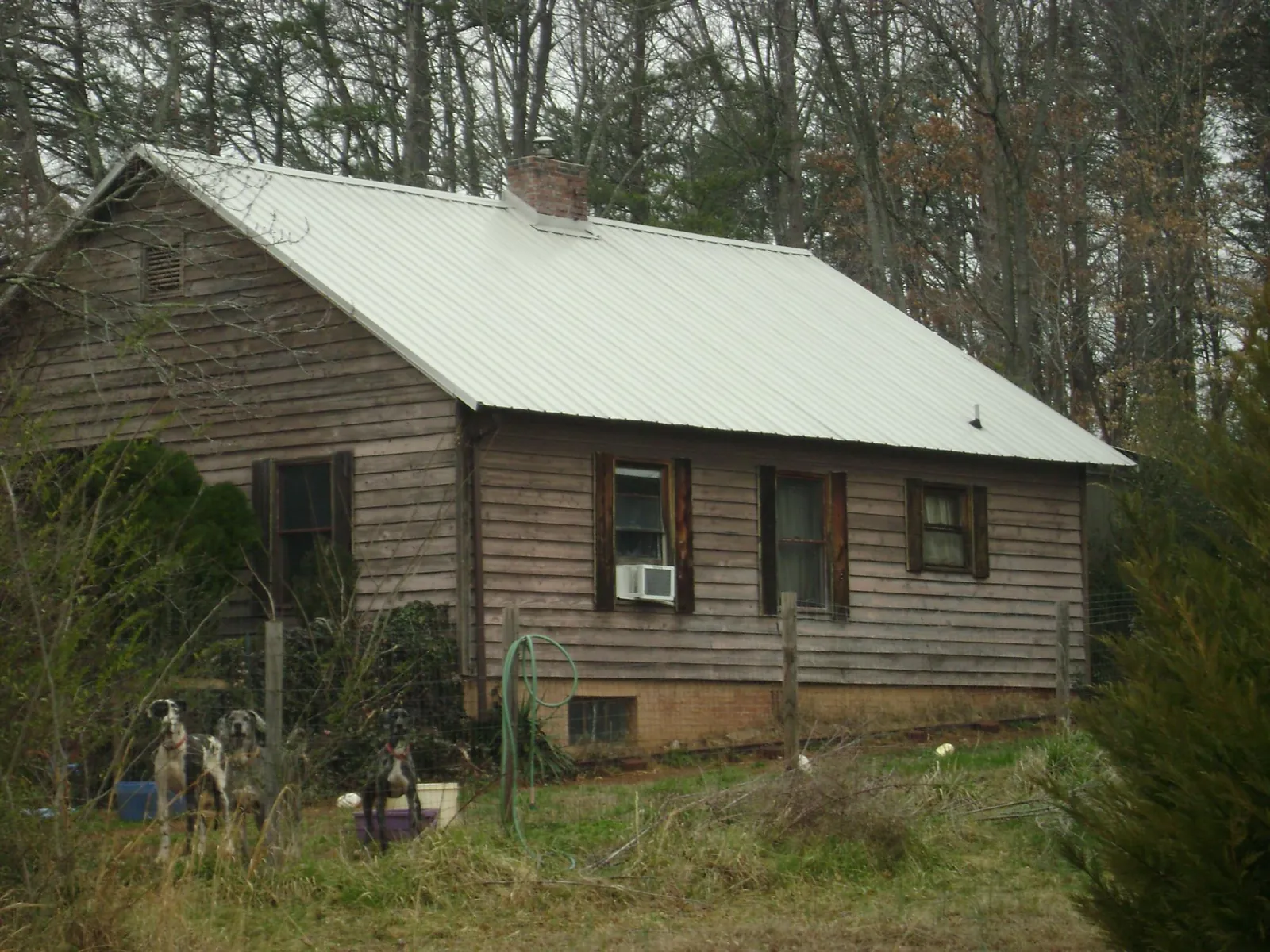 White metal roof on an old wood sided farmhouse, from a Asphalt Shingle Roof Repair job in Golf